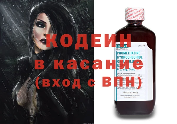индика Алексин