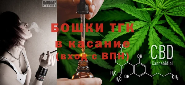 прущий лед Алзамай