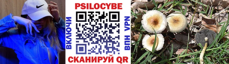 Галлюциногенные грибы GOLDEN TEACHER Лабинск