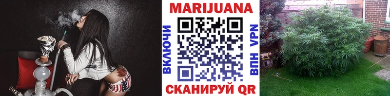 Шишки марихуана план  закладки  Лабинск 